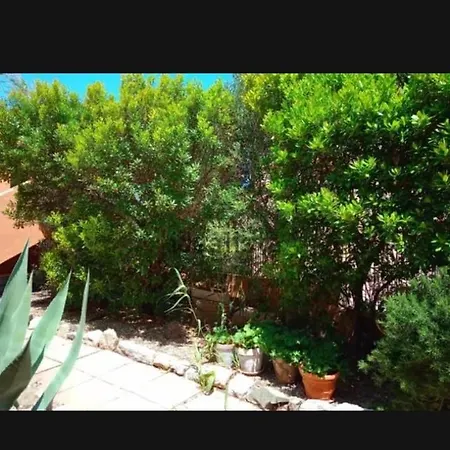 Monolocale Il Corbezzolo Διαμέρισμα Santa Teresa Gallura