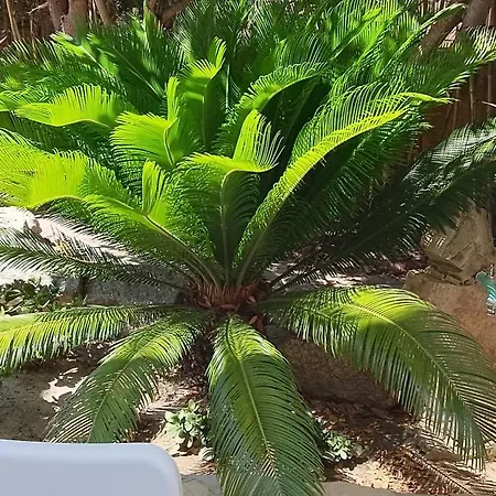 Monolocale Il Corbezzolo *