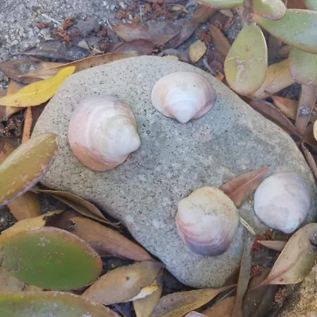 Διαμέρισμα Monolocale Il Corbezzolo Santa Teresa Gallura